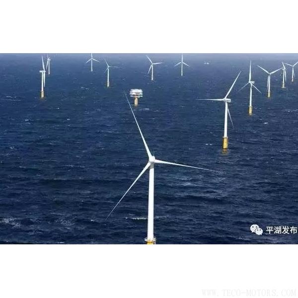 【電廠】嘉興規(guī)模最大的海上風(fēng)電項目將在平湖動工建設(shè) 行業(yè)資訊 第2張