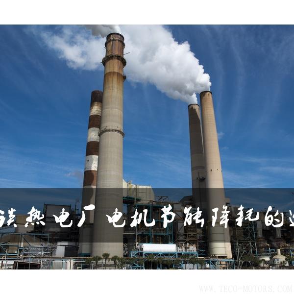 淺談熱電廠電機(jī)節(jié)能降耗的途徑 電機(jī)知識(shí) 第1張