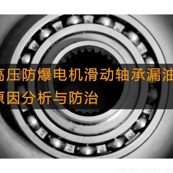 高壓防爆電機滑動軸承漏油的原因分析與防治 