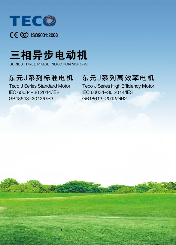 東元電機(jī)-AEEVJ系列電機(jī)-電子檔樣本-2016年版.pdf