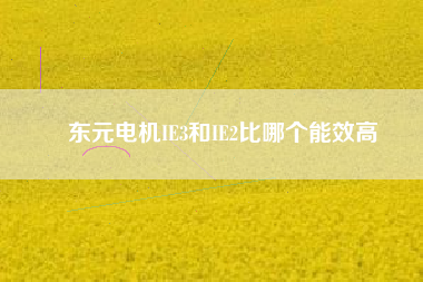 東元電機(jī)IE3和IE2比哪個能效高