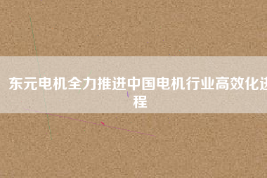 東元電機(jī)全力推進(jìn)中國(guó)電機(jī)行業(yè)高效化進(jìn)程