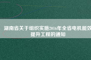 湖南省關(guān)于組織實施2016年全省電機能效提升工程的通知