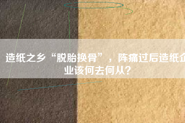 造紙之鄉(xiāng)“脫胎換骨”，陣痛過(guò)后造紙企業(yè)該何去何從？