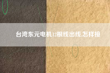 臺灣東元電機(jī)12根線出線,怎樣接