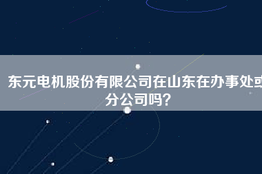 東元電機股份有限公司在山東在辦事處或分公司嗎？