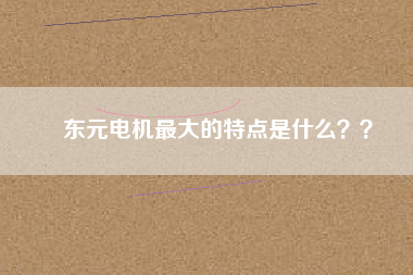 東元電機最大的特點是什么？？