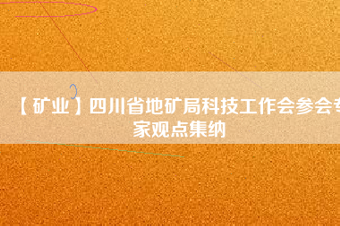 【礦業(yè)】四川省地礦局科技工作會參會專家觀點(diǎn)集納