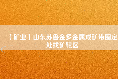 【礦業(yè)】山東蘇魯金多金屬成礦帶圈定6處找礦靶區(qū)