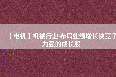 【電機(jī)】機(jī)械行業(yè):布局業(yè)績增長快競爭力強(qiáng)的成長股
          