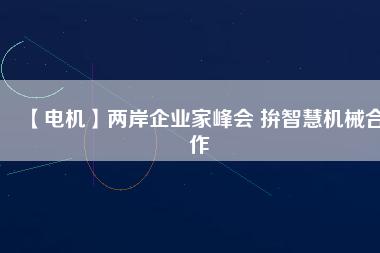 【電機】兩岸企業(yè)家峰會 拚智慧機械合作
          