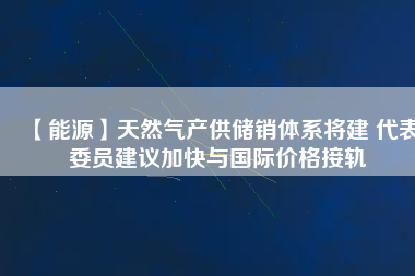 【能源】天然氣產(chǎn)供儲銷體系將建 代表委員建議加快與國際價格接軌