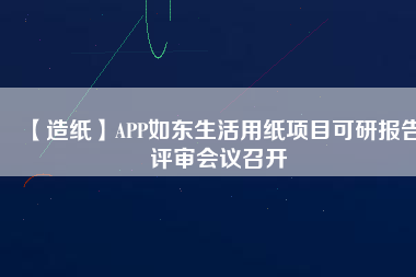 【造紙】APP如東生活用紙項(xiàng)目可研報(bào)告評(píng)審會(huì)議召開