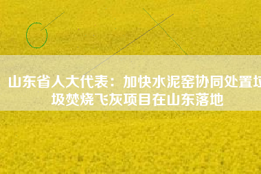 山東省人大代表：加快水泥窯協(xié)同處置垃圾焚燒飛灰項(xiàng)目在山東落地