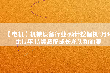 【電機(jī)】機(jī)械設(shè)備行業(yè):預(yù)計(jì)挖掘機(jī)2月環(huán)比持平,持續(xù)超配成長(zhǎng)龍頭和油服
          