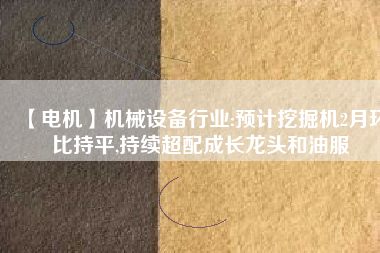 【電機(jī)】機(jī)械設(shè)備行業(yè):預(yù)計(jì)挖掘機(jī)2月環(huán)比持平,持續(xù)超配成長(zhǎng)龍頭和油服
          