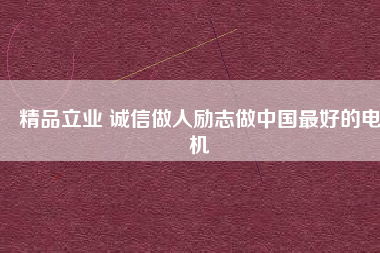 精品立業(yè) 誠信做人勵志做中國最好的電機
          