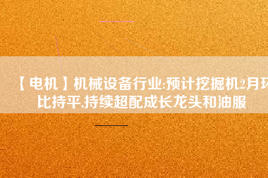 【電機(jī)】機(jī)械設(shè)備行業(yè):預(yù)計(jì)挖掘機(jī)2月環(huán)比持平,持續(xù)超配成長(zhǎng)龍頭和油服
          