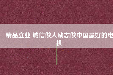 精品立業(yè) 誠信做人勵志做中國最好的電機
          