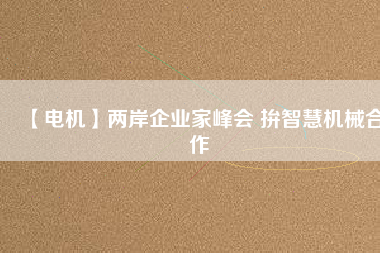 【電機】兩岸企業(yè)家峰會 拚智慧機械合作
          