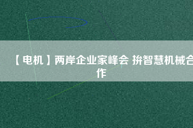 【電機】兩岸企業(yè)家峰會 拚智慧機械合作
          