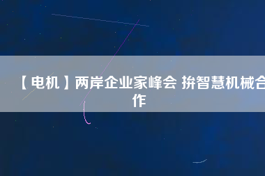 【電機】兩岸企業(yè)家峰會 拚智慧機械合作
          