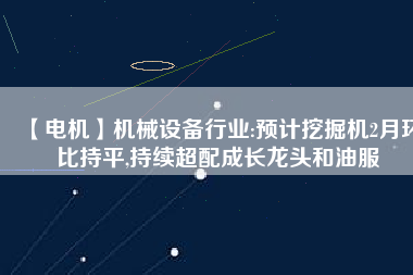 【電機(jī)】機(jī)械設(shè)備行業(yè):預(yù)計(jì)挖掘機(jī)2月環(huán)比持平,持續(xù)超配成長(zhǎng)龍頭和油服
          