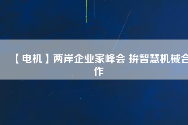 【電機】兩岸企業(yè)家峰會 拚智慧機械合作
          