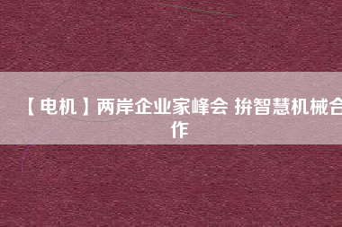 【電機】兩岸企業(yè)家峰會 拚智慧機械合作
          