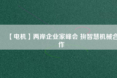 【電機】兩岸企業(yè)家峰會 拚智慧機械合作
          