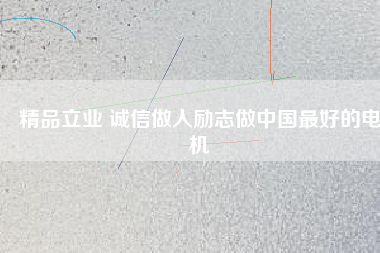 精品立業(yè) 誠信做人勵志做中國最好的電機
          