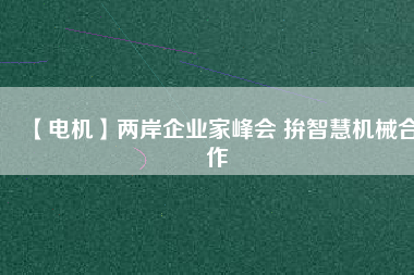 【電機】兩岸企業(yè)家峰會 拚智慧機械合作
          