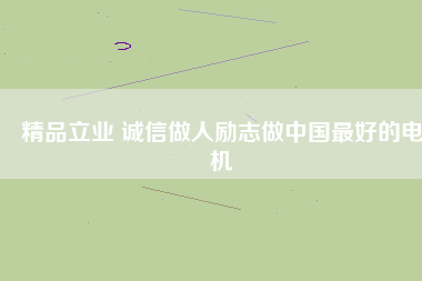 精品立業(yè) 誠信做人勵志做中國最好的電機
          