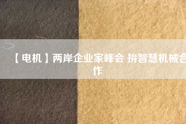 【電機】兩岸企業(yè)家峰會 拚智慧機械合作
          