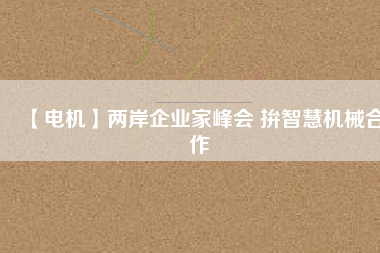 【電機】兩岸企業(yè)家峰會 拚智慧機械合作
          