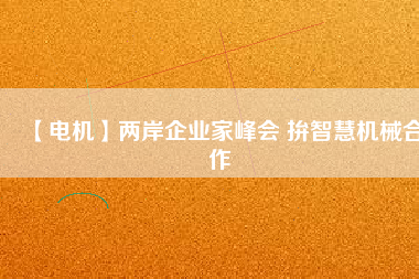 【電機】兩岸企業(yè)家峰會 拚智慧機械合作
          