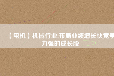 【電機(jī)】機(jī)械行業(yè):布局業(yè)績增長快競爭力強(qiáng)的成長股
          