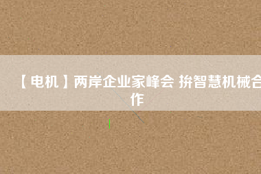 【電機】兩岸企業(yè)家峰會 拚智慧機械合作
          