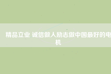 精品立業(yè) 誠信做人勵志做中國最好的電機
          