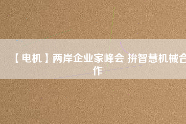 【電機】兩岸企業(yè)家峰會 拚智慧機械合作
          