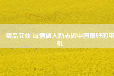 精品立業(yè) 誠信做人勵志做中國最好的電機
          