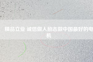 精品立業(yè) 誠信做人勵志做中國最好的電機
          