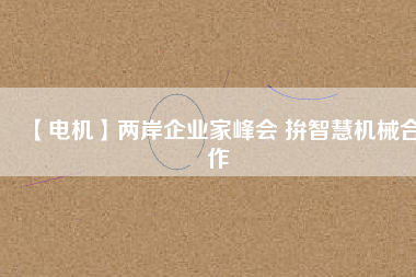 【電機】兩岸企業(yè)家峰會 拚智慧機械合作
          