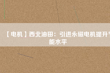 【電機】西北油田：引進永磁電機提升節(jié)能水平
          