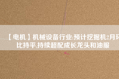 【電機(jī)】機(jī)械設(shè)備行業(yè):預(yù)計(jì)挖掘機(jī)2月環(huán)比持平,持續(xù)超配成長(zhǎng)龍頭和油服
          