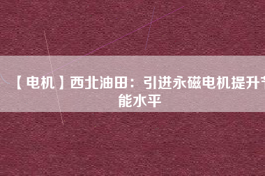 【電機】西北油田：引進永磁電機提升節(jié)能水平
          