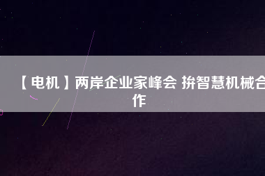 【電機】兩岸企業(yè)家峰會 拚智慧機械合作
          