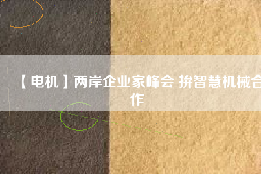 【電機】兩岸企業(yè)家峰會 拚智慧機械合作
          