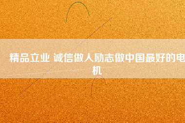 精品立業(yè) 誠信做人勵志做中國最好的電機
          