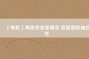 【電機】兩岸企業(yè)家峰會 拚智慧機械合作
          